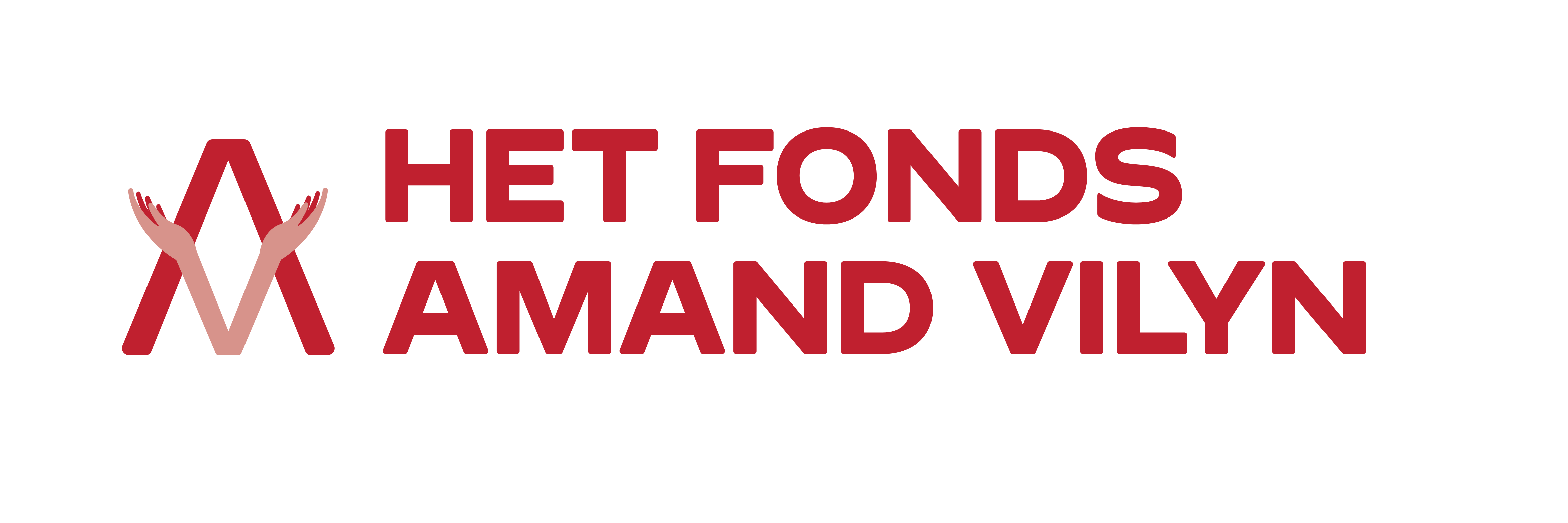 Logo Fonds Amand Vilyn