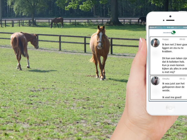 Digitale stalknecht voor paarden